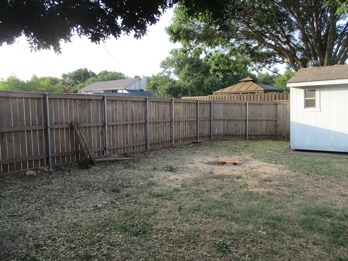 Cleared yard after professional tree removal in Louisburg